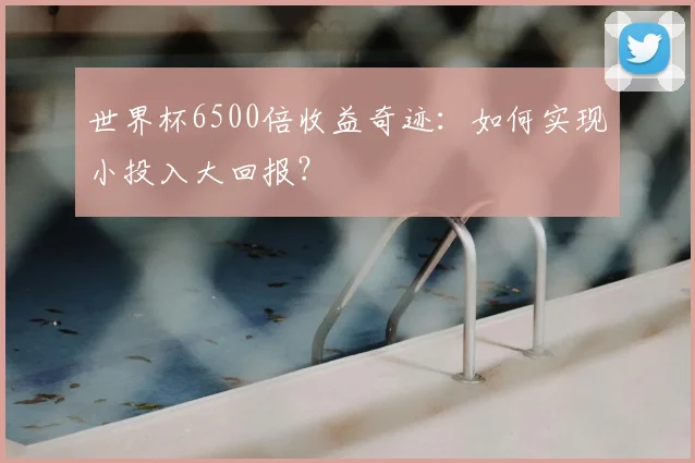 世界杯6500倍收益奇迹:如何实现小投入大回报?