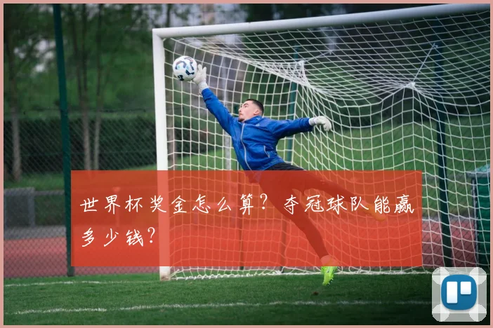 世界杯奖金怎么算？夺冠球队能赢多少钱？