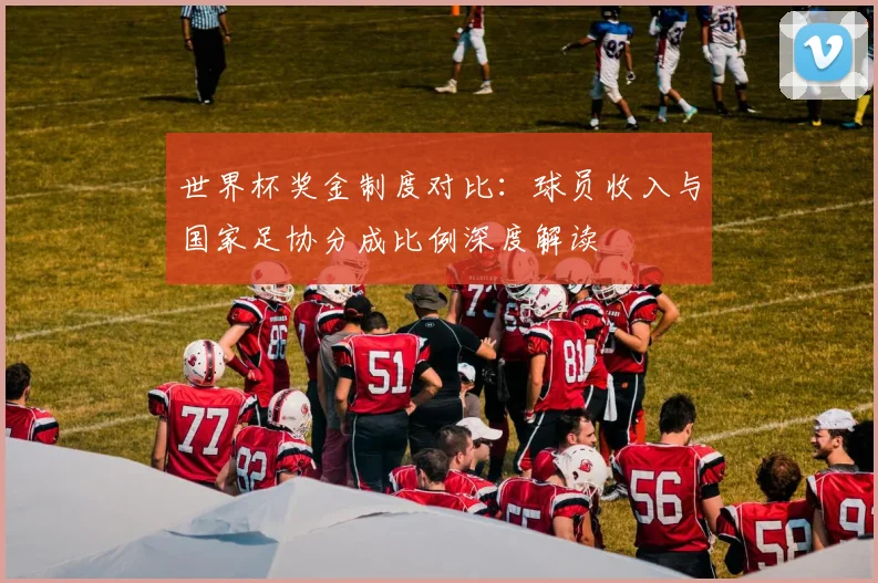世界杯奖金制度对比：球员收入与国家足协分成比例深度解读